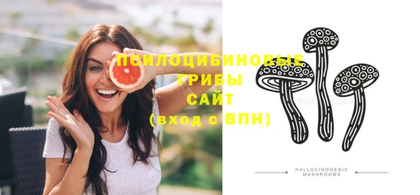 PSILOCYBIN Осинники