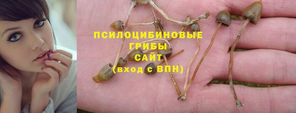 PSILOCYBIN Осинники