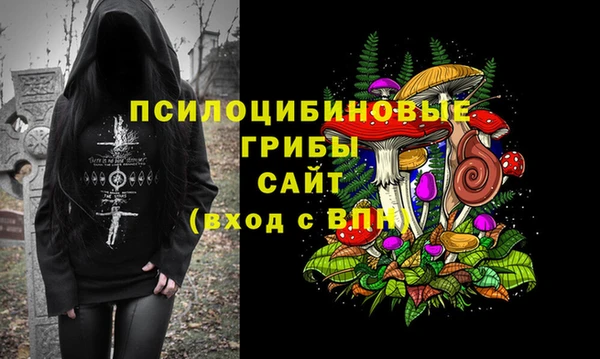 ПСИЛОЦИБИНОВЫЕ ГРИБЫ Остров