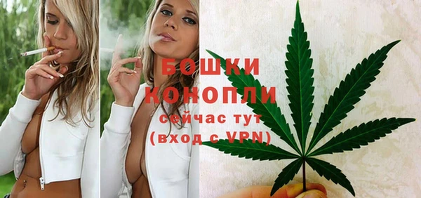 ПСИЛОЦИБИНОВЫЕ ГРИБЫ Остров