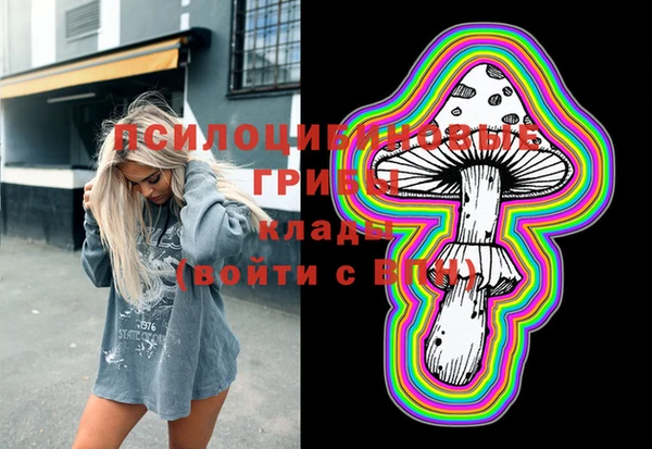 ПСИЛОЦИБИНОВЫЕ ГРИБЫ Остров