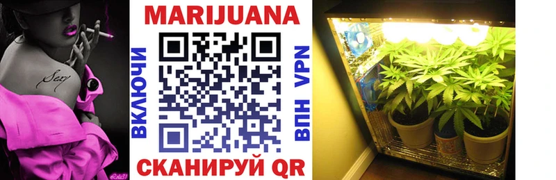Канабис OG Kush  Купить где  Усть-Джегута 